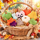 Stickdatei Herbst - Kürbis und Blätter In the Hoop Set 26134 /13x18 Rahmen