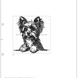 Stickdatei Applikation Yorkshire Terrier "Charly"- realistisch - FÜR HELLE & DUNKLE STOFFE