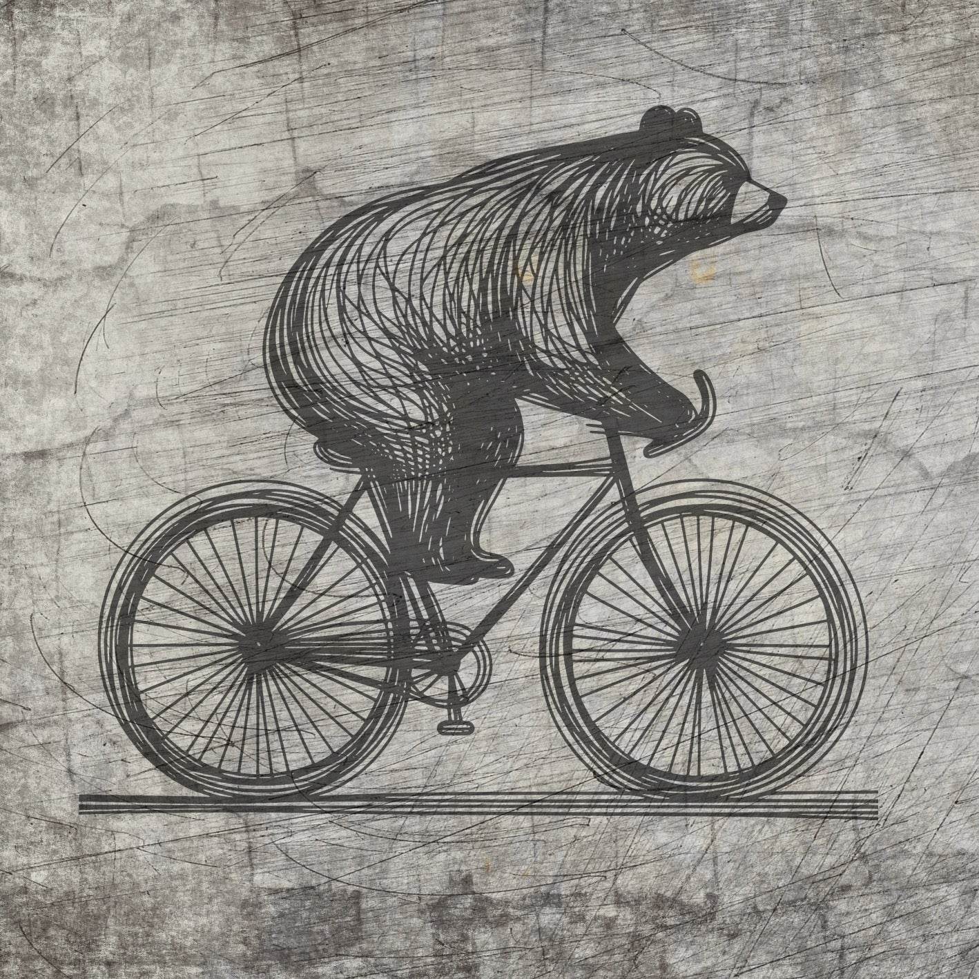 Plotterdatei *Bär* auf Fahrrad - Sewando