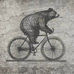 Plotterdatei *Bär* auf Fahrrad - Sewando