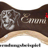Stickdatei "Appenzeller Sennenhund Leroy" - realistisch - FÜR DUNKLE STOFFE