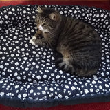 E-book Katzen Körbchen Hunde Korb Babynest inkl. Schnittmuster nähen
