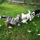 E-book Katze Kuscheltier nähen