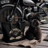 Stickdatei Affenpinscher "Caleb" - realistisch - FÜR DUNKLE STOFFE