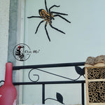 Insekten - die Freunde aus Wald und Wiese KOMPLETTSET, Plotter- Laser-Datei als SVG und DXF - Sewando