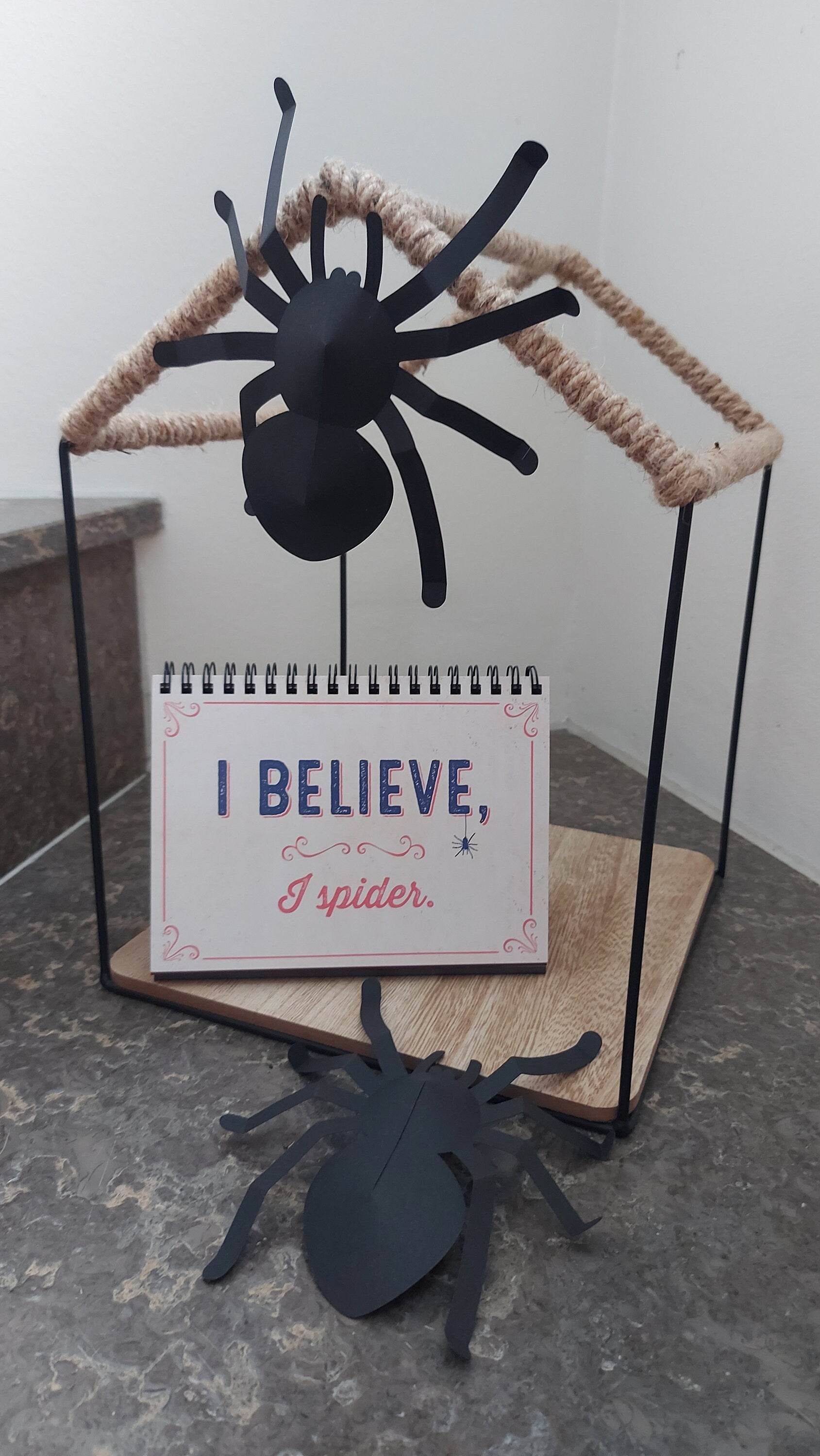 Plotterdatei SPINNENNETZ 3D-Spinne + Mandala svg + dxf - Sewando