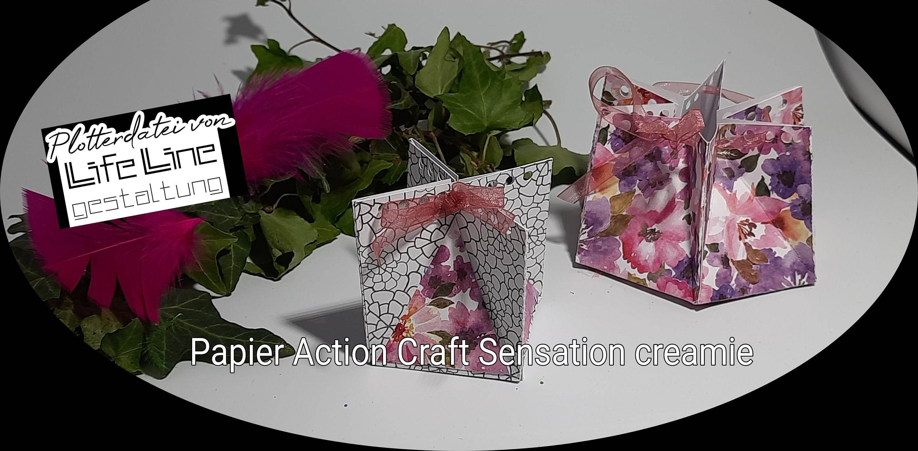 Plotterdatei SCHACHTEL MIT BAND svg + dxf - Sewando