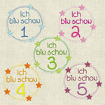 Stickdatei Ich bin schon ..13x13 Geburtstag Set 572 - Sewando