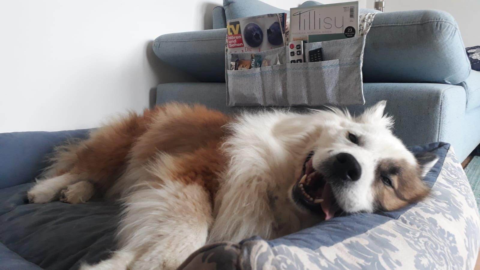 Sofaliebe - Der Organizer Fürs Sofa Mit Integriertem Kissen - Schnittmuster - Sewando