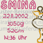 Stickdatei Geburt Taufe Kissen U-Heft /Baby Füsse 453 - Sewando