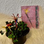 Stickdatei Silvester Wunscherfüller Gutschein Set 780 - Sewando