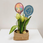 13x Stickdatei Ballons mit Zahlen ITH - Sewando