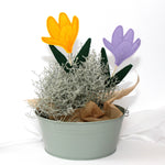 Stickdatei ITH Krokus Frühling Stabstickdatei - Sewando