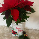 Stickdatei Weihnachten Weihnachtsstern Set 988 /2 13x18 - Sewando