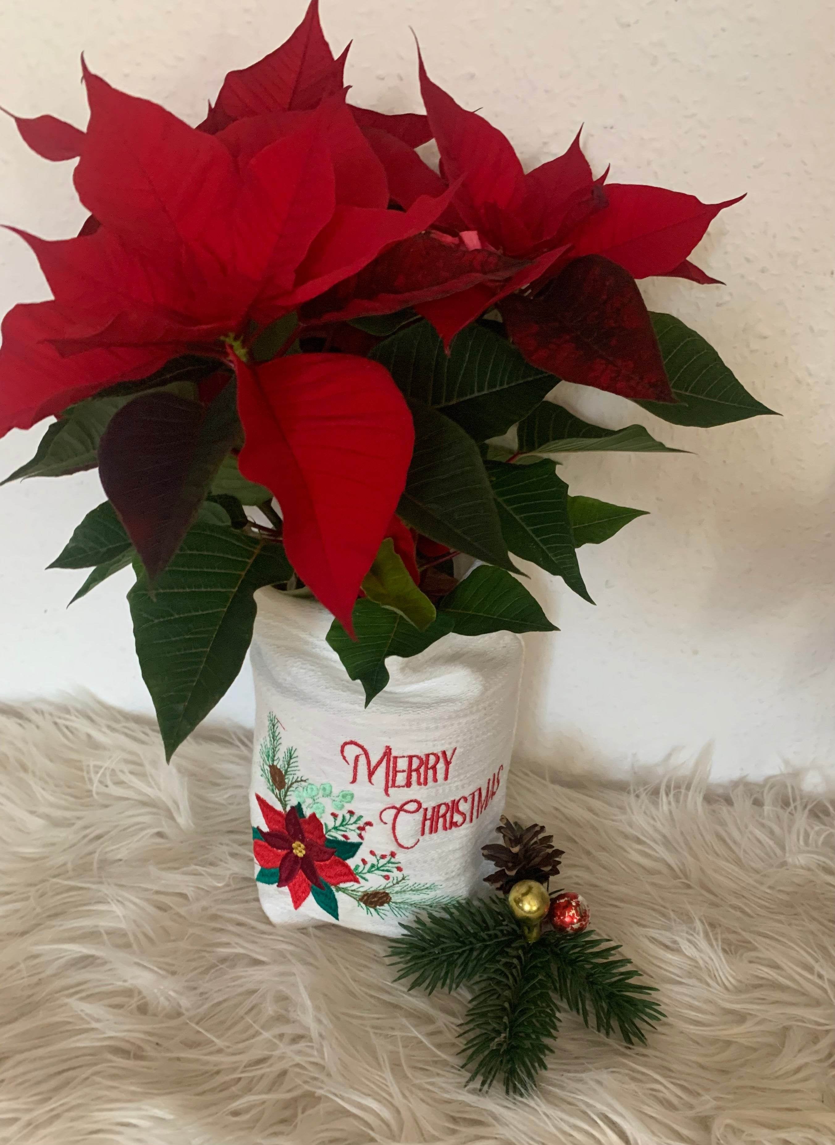 Stickdatei Weihnachten Weihnachtsstern Set 988 /2 13x18 - Sewando
