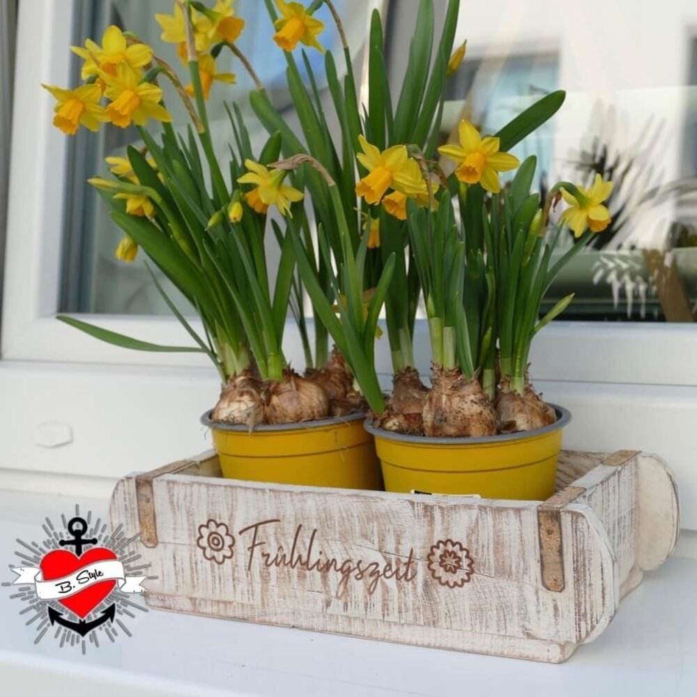 *25 Kerzensprüche Ostern & Frühling* Druck- & Plotterdatei - Sewando