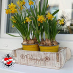 *25 Kerzensprüche Ostern & Frühling* Druck- & Plotterdatei - Sewando