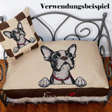 Stickdatei Applikation Boston Terrier "Kylo" - realistisch - FÜR HELLE UND DUNKLE STOFFE