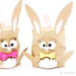 Plotterdatei - Geschenkverpackung „Hoppelhase“ inkl. Anleitung - Sewando