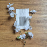 *Perfekt unperfekt* Druck-und Plotterdatei
