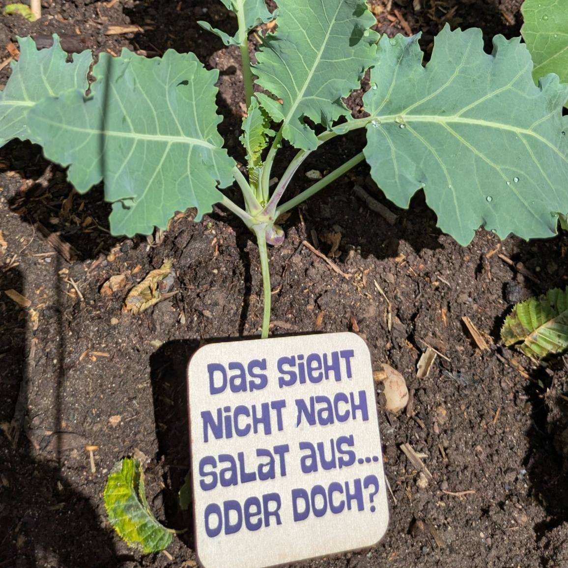 *Pflanzenstecker* Plotter- und Laserdatei Megapack - Sewando