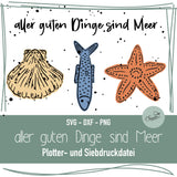 Aller guten Dinge sind Meer