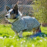 Schnittmuster Hundejacke Alma PDF | Hundemantel/Regenmantel nähen