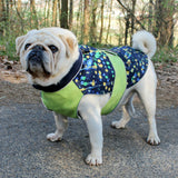 Schnittmuster Hundejacke Alma PDF | Hundemantel/Regenmantel nähen