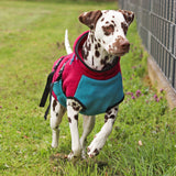 Schnittmuster Hundejacke Alma PDF | Hundemantel/Regenmantel nähen