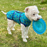 Schnittmuster Hundejacke Alma PDF | Hundemantel/Regenmantel nähen