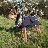 Schnittmuster Hundejacke Alma PDF | Hundemantel/Regenmantel nähen