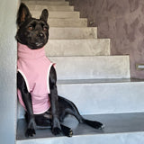 Schnittmuster Hundejacke Alma PDF | Hundemantel/Regenmantel nähen