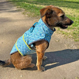 Schnittmuster Hundejacke Alma PDF | Hundemantel/Regenmantel nähen