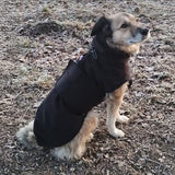 Schnittmuster Hundejacke Alma PDF | Hundemantel/Regenmantel nähen
