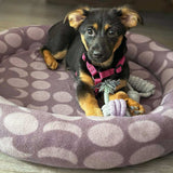 Schnittmuster Katzenbett & Hundebett PDF | Tierkissen nähen