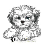 Stickdatei Shih Tzu Welpe "Lesley" - realistisch - FÜR HELLE STOFFE