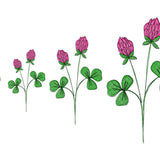 Stickdatei Klee Wiesenklee in vier Größen, Sommer, Frühling, Wildblumen, Wiese, Garten - Sewando
