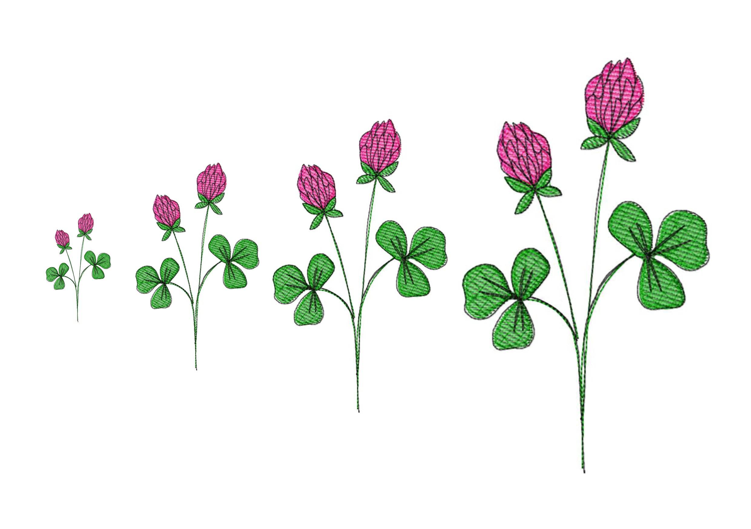 Stickdatei Klee Wiesenklee in vier Größen, Sommer, Frühling, Wildblumen, Wiese, Garten - Sewando