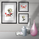 Plotterdatei Karl der Krebs mit Rose Sublimation, Drucken, Digistamp, Digipaper - Sewando