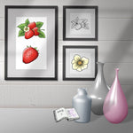 Digiset Erdbeere, Digistamp, Digipaper, Plotterdatei, Sublimation, Druck - Sewando