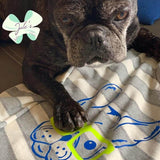 Plotterdatei Frenchie , PNG, DXF, SVG - Sewando