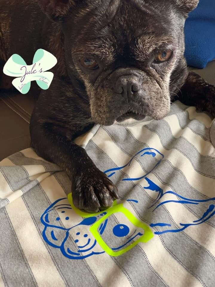 Plotterdatei Frenchie , PNG, DXF, SVG - Sewando